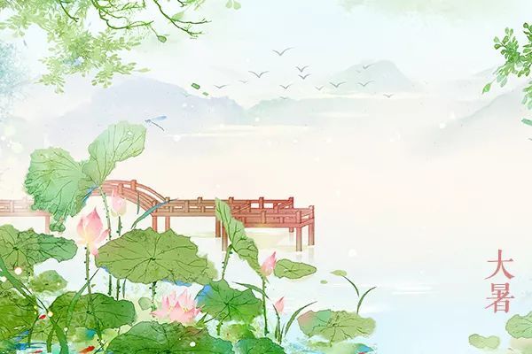 ä»æ¥å¤§æ 